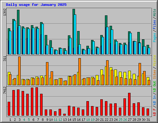 Daily usage for January 2025