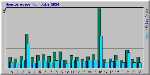 Hourly usage for July 2024