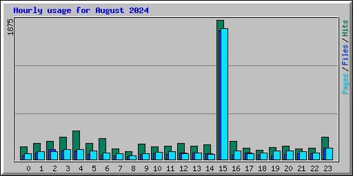 Hourly usage for August 2024