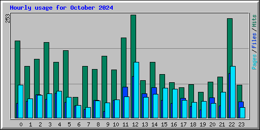 Hourly usage for October 2024