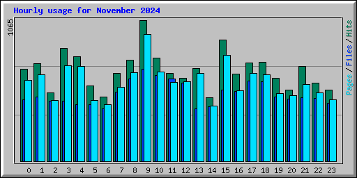 Hourly usage for November 2024