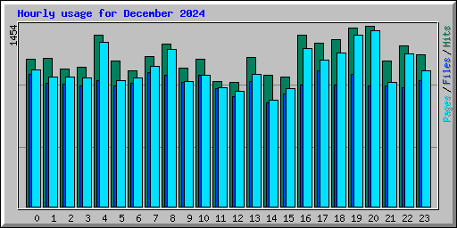 Hourly usage for December 2024