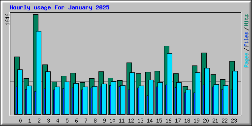 Hourly usage for January 2025