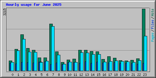 Hourly usage for June 2025