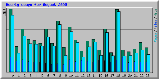 Hourly usage for August 2025
