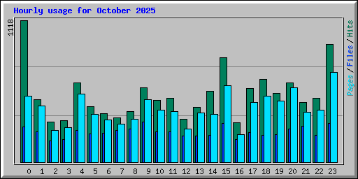 Hourly usage for October 2025