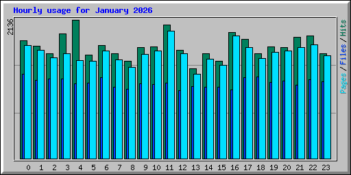 Hourly usage for January 2026