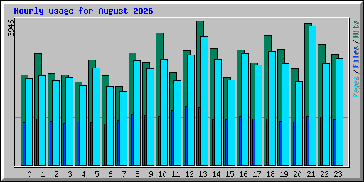 Hourly usage for August 2026