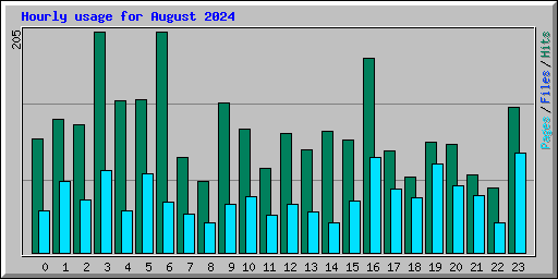 Hourly usage for August 2024