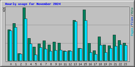 Hourly usage for November 2024