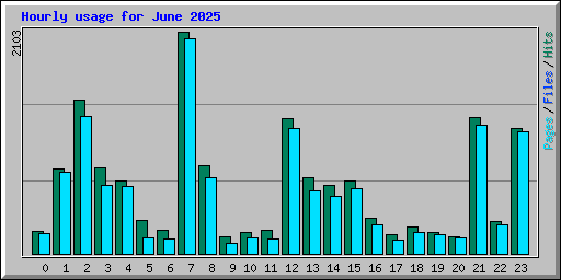 Hourly usage for June 2025