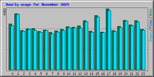 Hourly usage for November 2025
