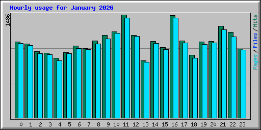 Hourly usage for January 2026