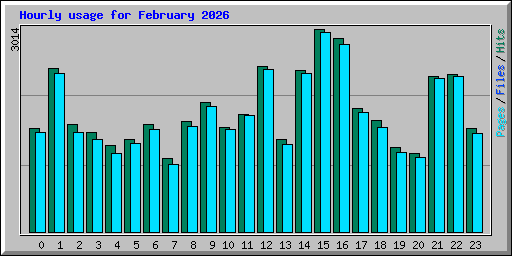 Hourly usage for February 2026